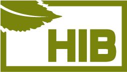 HIB-System AG 