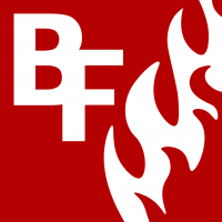 Brandschutzservice Friedland 
