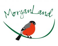 Morganland 